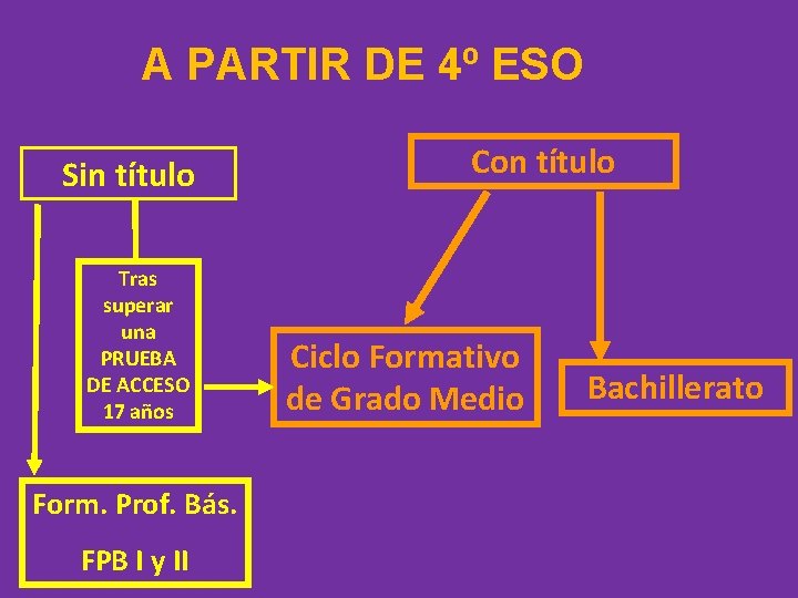 A PARTIR DE 4º ESO Sin título Tras superar una PRUEBA DE ACCESO 17