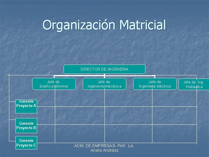 Organización Matricial DIRECTOR DE INGENERIA Jefe de diseño preliminar Jefe de ingeniería mecánica Gerente