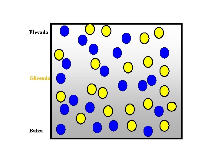 Elevada Glicemia Baixa 