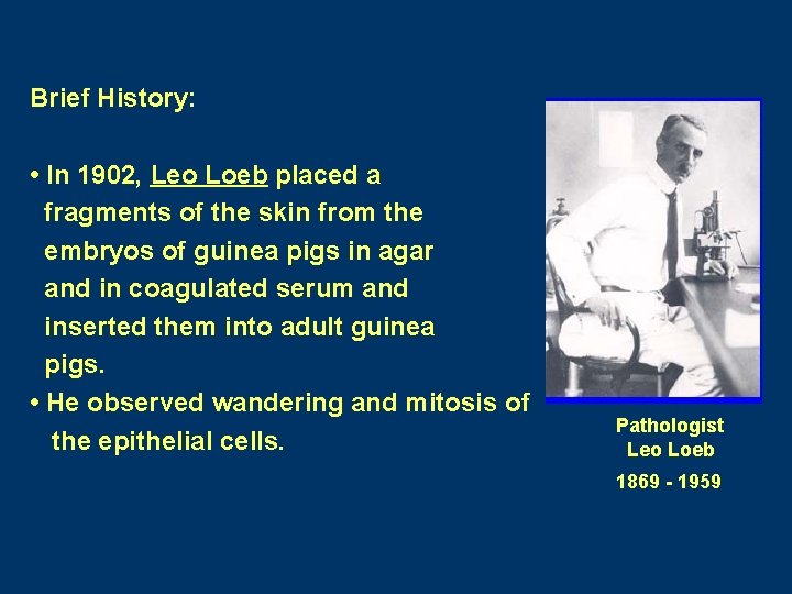Brief History: • In 1902, Leo Loeb placed a fragments of the skin from Brief History: • In 1902, Leo Loeb placed a fragments of the skin from