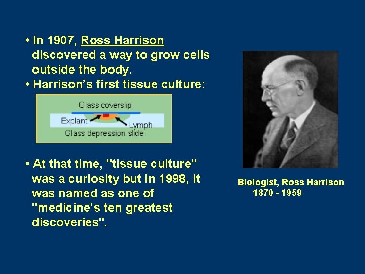 • In 1907, Ross Harrison discovered a way to grow cells outside the • In 1907, Ross Harrison discovered a way to grow cells outside the
