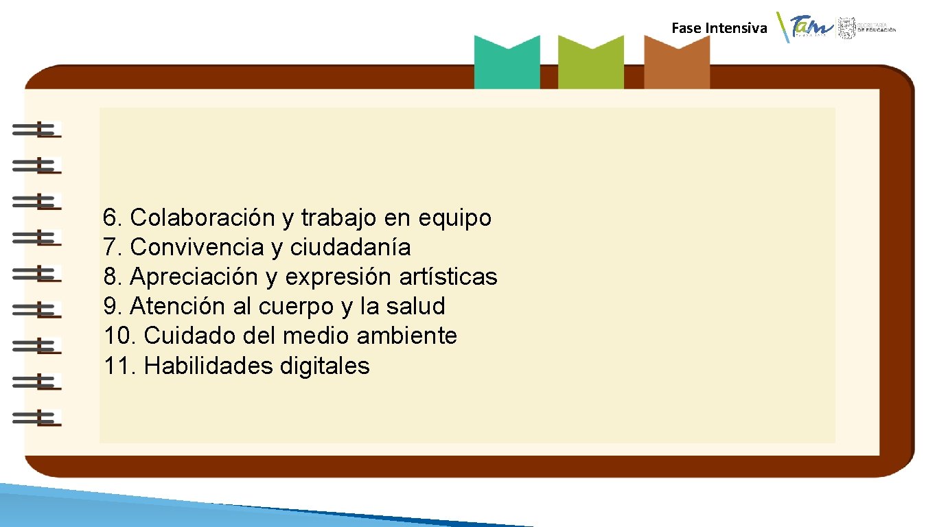  Fase Intensiva 6. Colaboración y trabajo en equipo 7. Convivencia y ciudadanía 8.