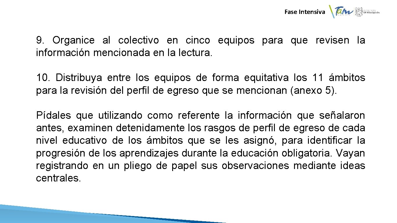  Fase Intensiva 9. Organice al colectivo en cinco equipos para que revisen la