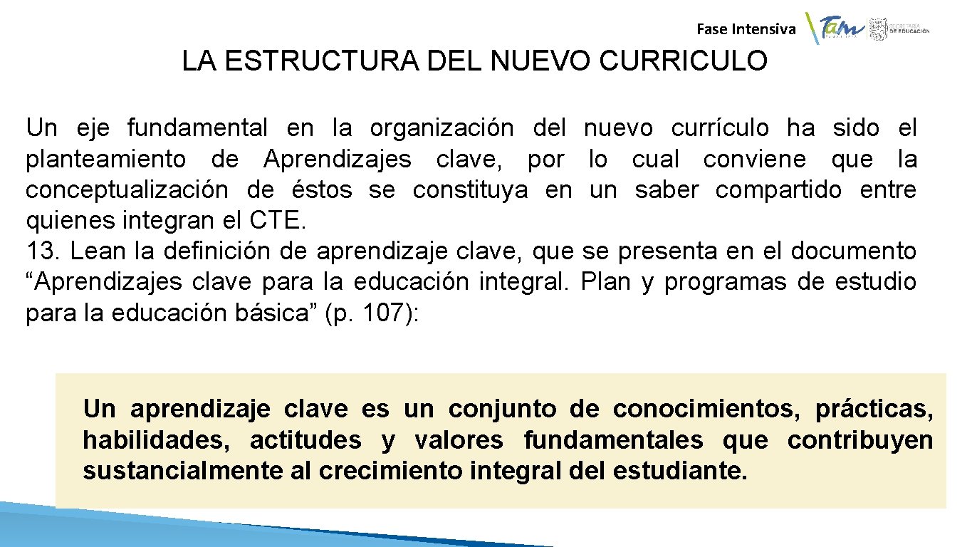  Fase Intensiva LA ESTRUCTURA DEL NUEVO CURRICULO Un eje fundamental en la organización