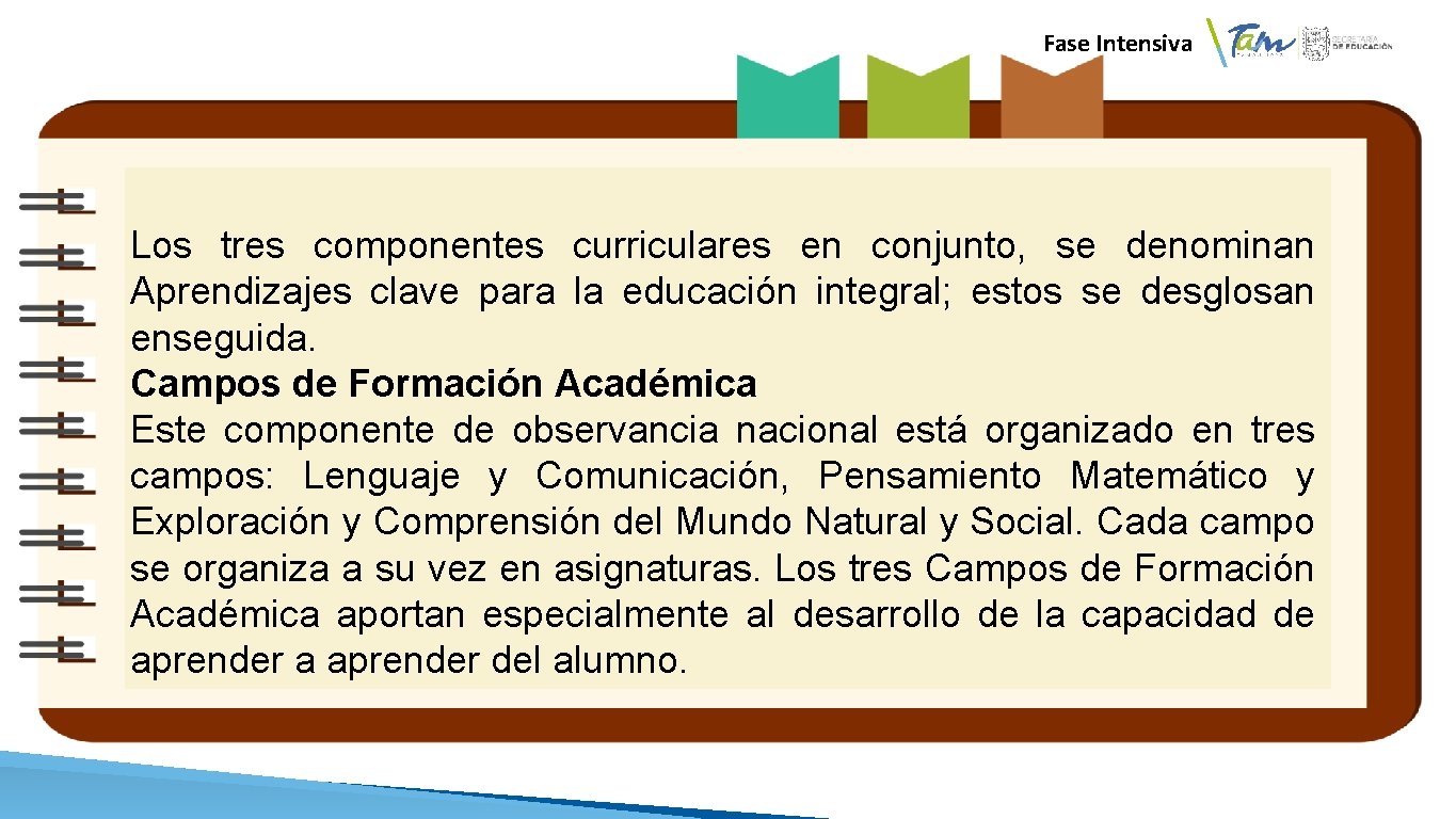  Fase Intensiva Los tres componentes curriculares en conjunto, se denominan Aprendizajes clave para