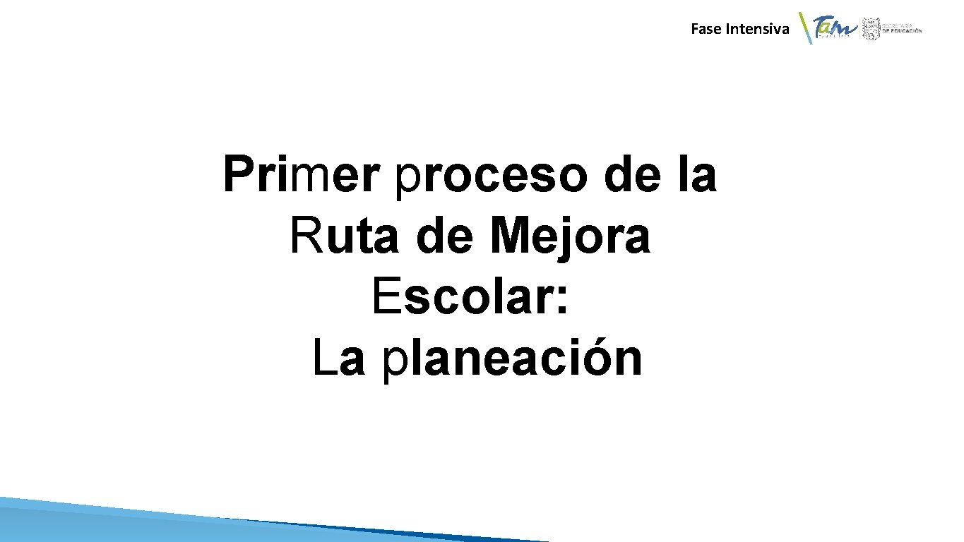 Fase Intensiva Primer proceso de la Ruta de Mejora Escolar: La planeación 