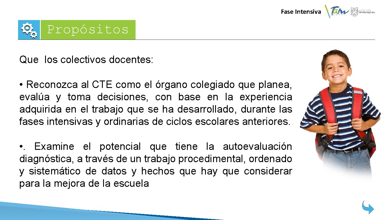  Fase Intensiva Propósitos Que los colectivos docentes: • Reconozca al CTE como el