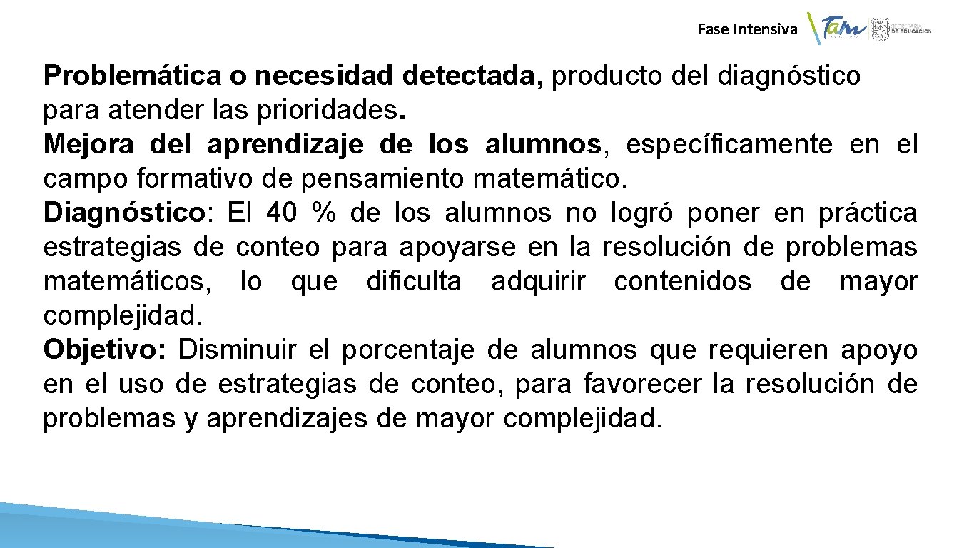 Fase Intensiva Por ejemplo Problemática o necesidad detectada, producto del diagnóstico para atender las