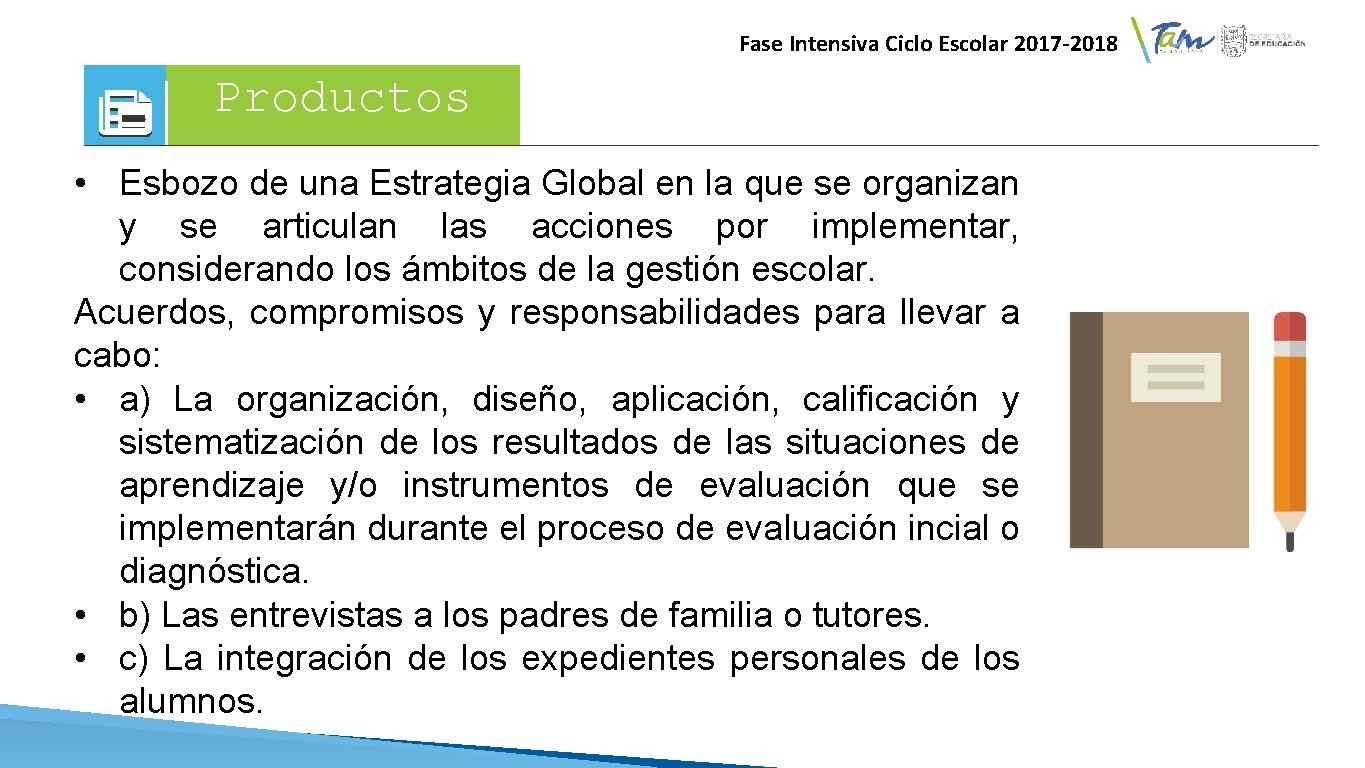 Fase Intensiva Ciclo Escolar 2017 -2018 Productos • Esbozo de una Estrategia Global en