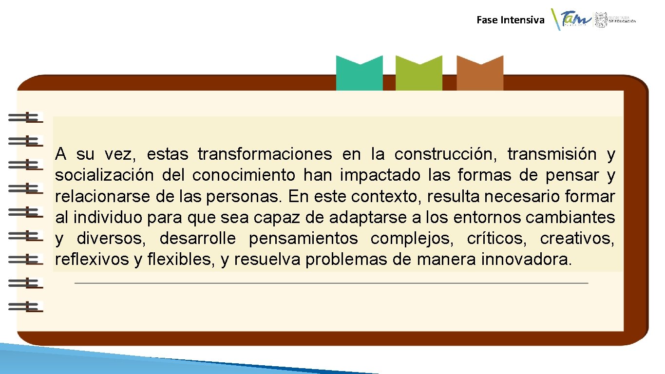  Fase Intensiva A su vez, estas transformaciones en la construcción, transmisión y socialización