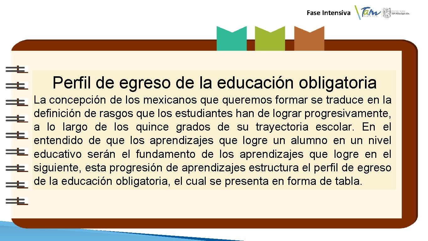  Fase Intensiva Perfil de egreso de la educación obligatoria La concepción de los