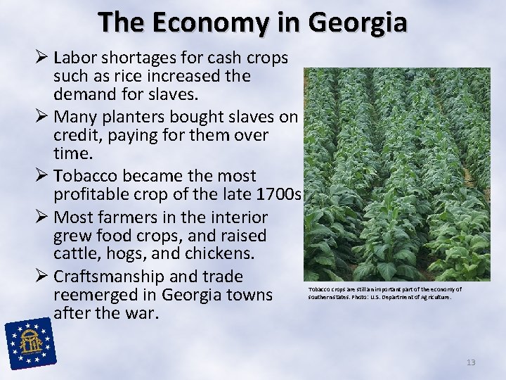 The Economy in Georgia Ø Labor shortages for cash crops such as rice increased The Economy in Georgia Ø Labor shortages for cash crops such as rice increased