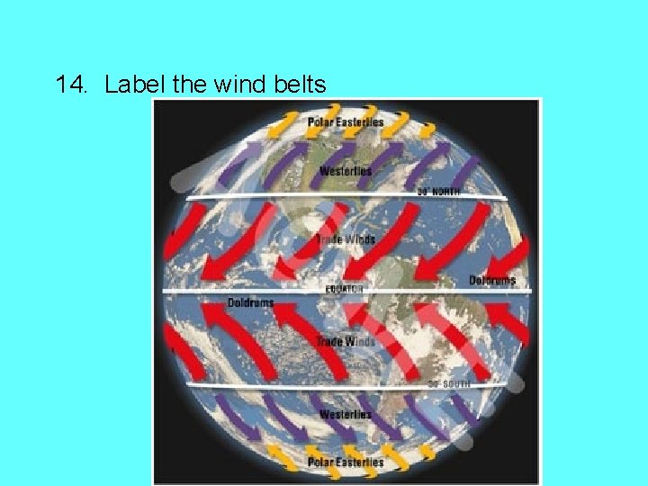 14. Label the wind belts 