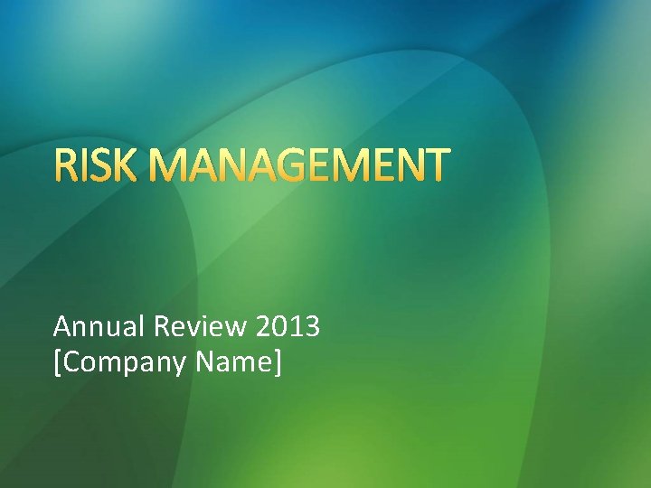 RISK MANAGEMENT Annual Review 2013 [Company Name] 