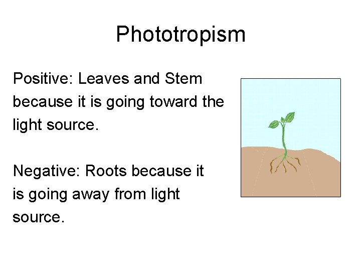 Phototropism Positive: Leaves and Stem because it is going toward the light source. Negative: