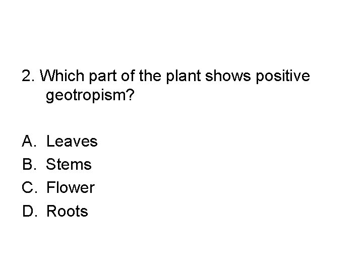 2. Which part of the plant shows positive geotropism? A. B. C. D. Leaves