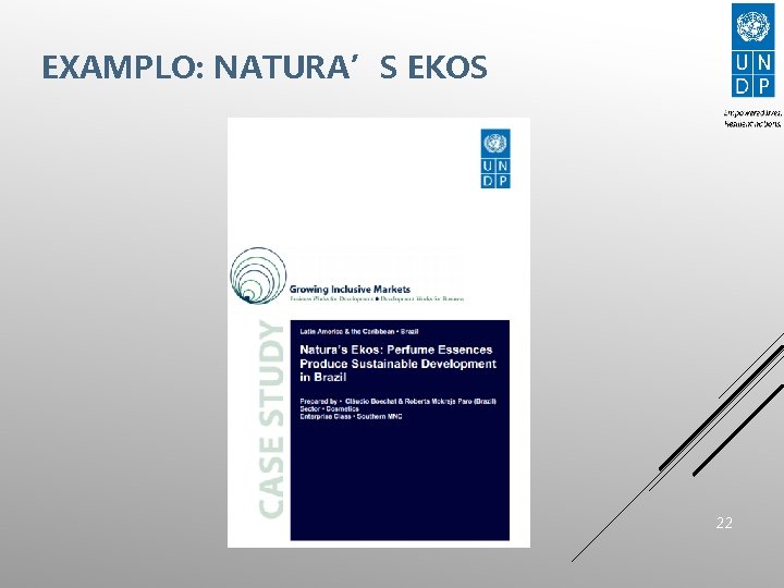 EXAMPLO: NATURA’S EKOS 22 