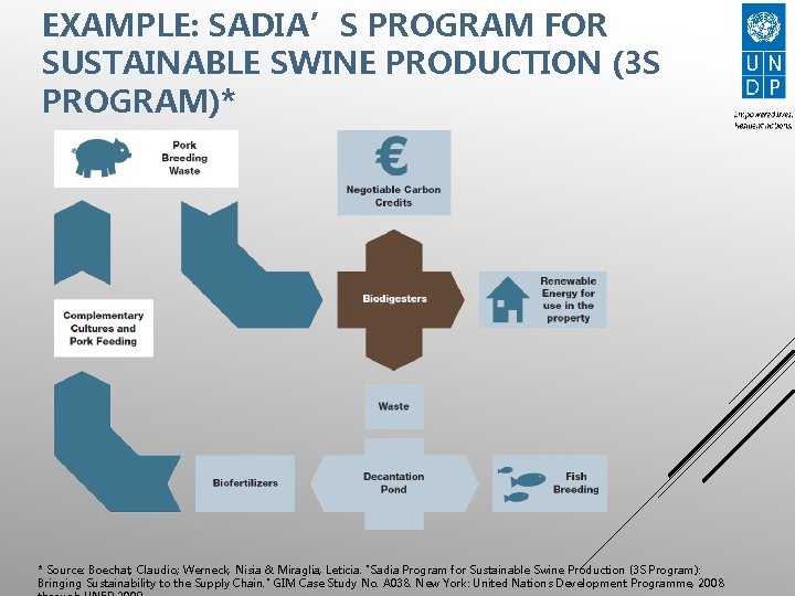 EXAMPLE: SADIA’S PROGRAM FOR SUSTAINABLE SWINE PRODUCTION (3 S PROGRAM)* * Source: Boechat, Claudio;