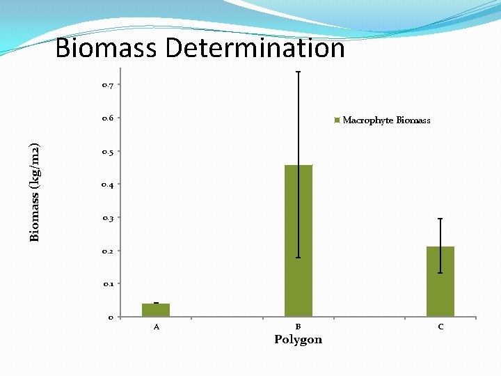 Biomass Determination 0. 7 Biomass (kg/m 2) 0. 6 Macrophyte Biomass 0. 5 0.