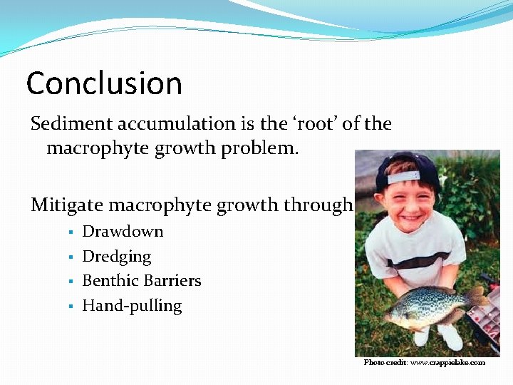 Conclusion Sediment accumulation is the ‘root’ of the macrophyte growth problem. Mitigate macrophyte growth