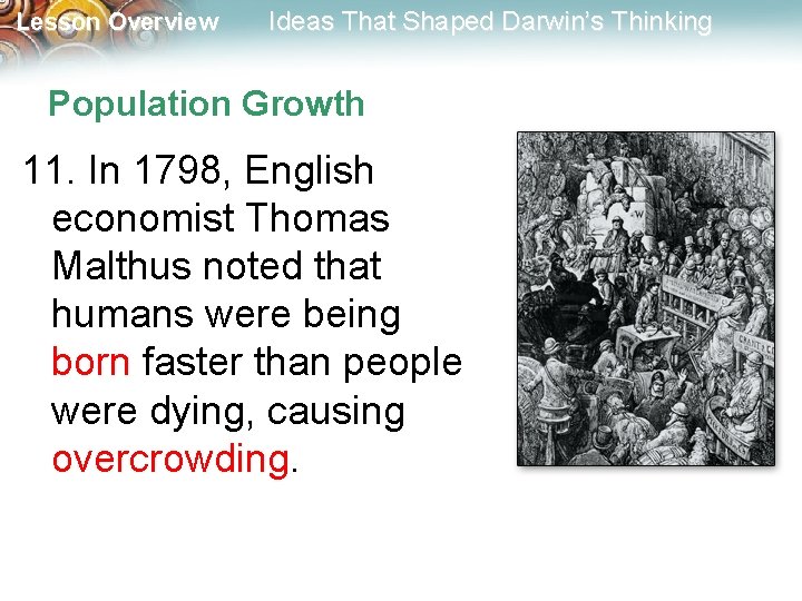 Lesson Overview Ideas That Shaped Darwin’s Thinking Population Growth 11. In 1798, English economist