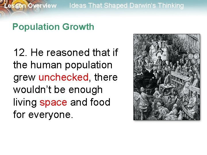 Lesson Overview Ideas That Shaped Darwin’s Thinking Population Growth 12. He reasoned that if