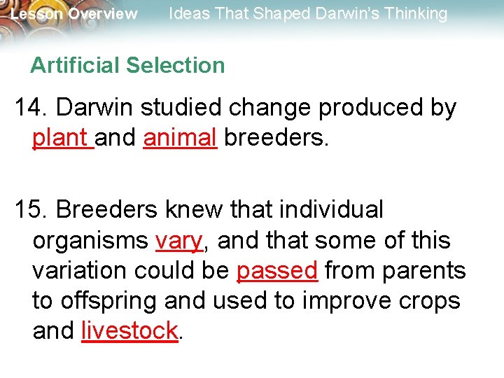 Lesson Overview Ideas That Shaped Darwin’s Thinking Artificial Selection 14. Darwin studied change produced