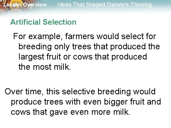 Lesson Overview Ideas That Shaped Darwin’s Thinking Artificial Selection For example, farmers would select