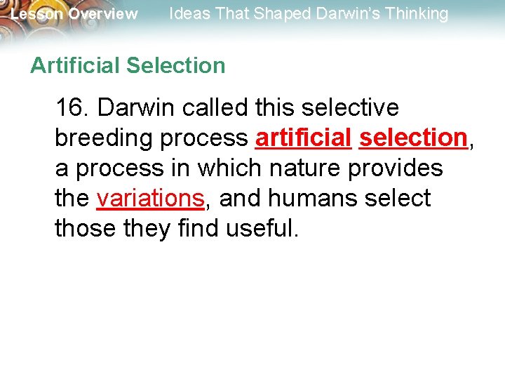 Lesson Overview Ideas That Shaped Darwin’s Thinking Artificial Selection 16. Darwin called this selective