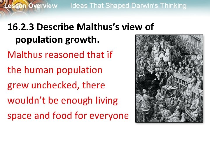 Lesson Overview Ideas That Shaped Darwin’s Thinking 16. 2. 3 Describe Malthus’s view of