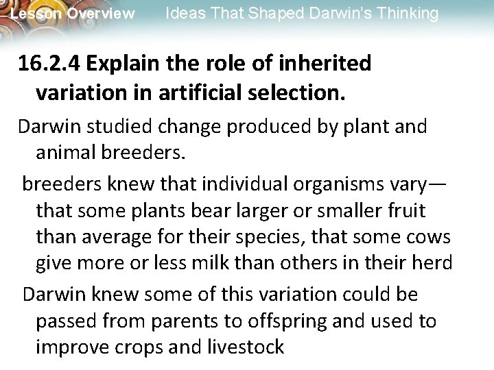 Lesson Overview Ideas That Shaped Darwin’s Thinking 16. 2. 4 Explain the role of