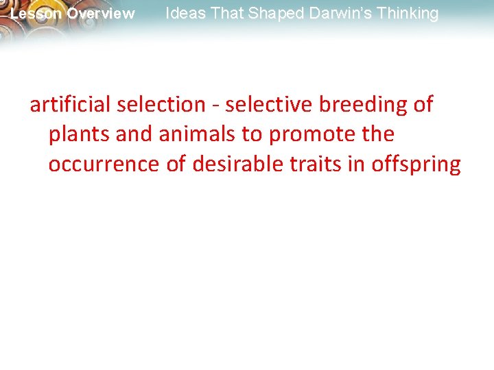 Lesson Overview Ideas That Shaped Darwin’s Thinking artificial selection - selective breeding of plants