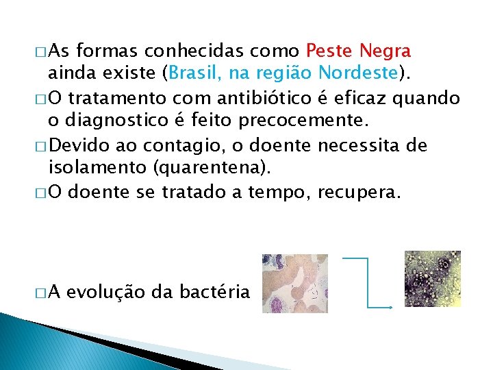 � As formas conhecidas como Peste Negra ainda existe (Brasil, na região Nordeste). �