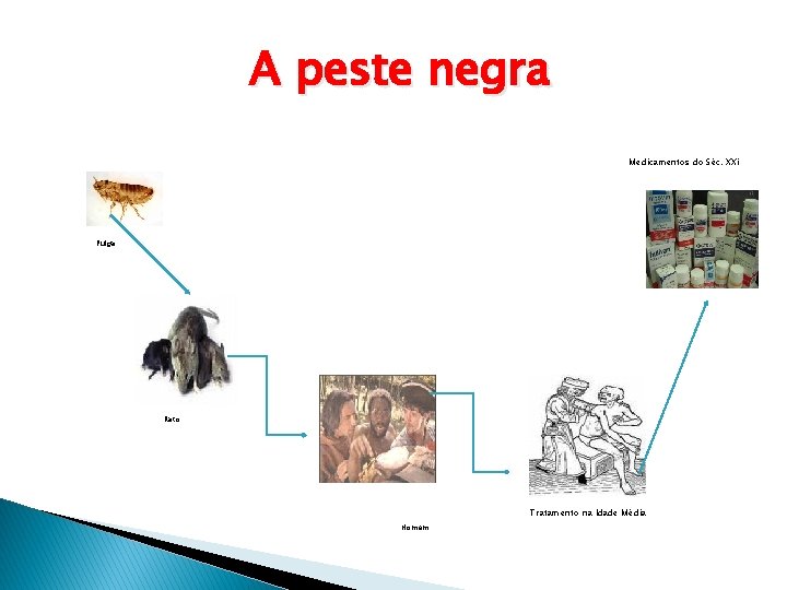 A peste negra Medicamentos do Séc. XXi Pulga Rato Tratamento na Idade Média Homem