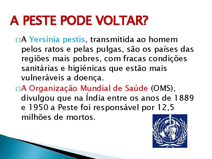 A PESTE PODE VOLTAR? �A Yersinia pestis, transmitida ao homem pelos ratos e pelas