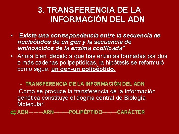 3. TRANSFERENCIA DE LA INFORMACIÓN DEL ADN • Existe una correspondencia entre la secuencia