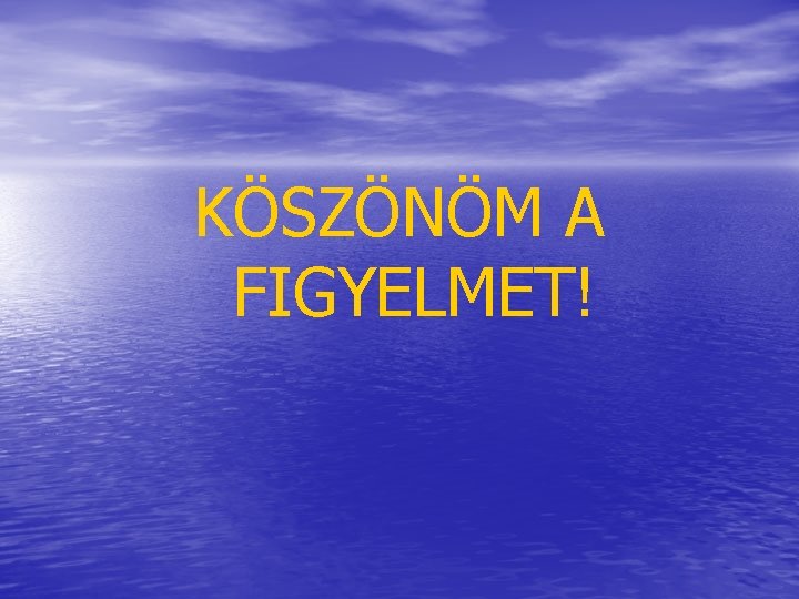 KÖSZÖNÖM A FIGYELMET! 