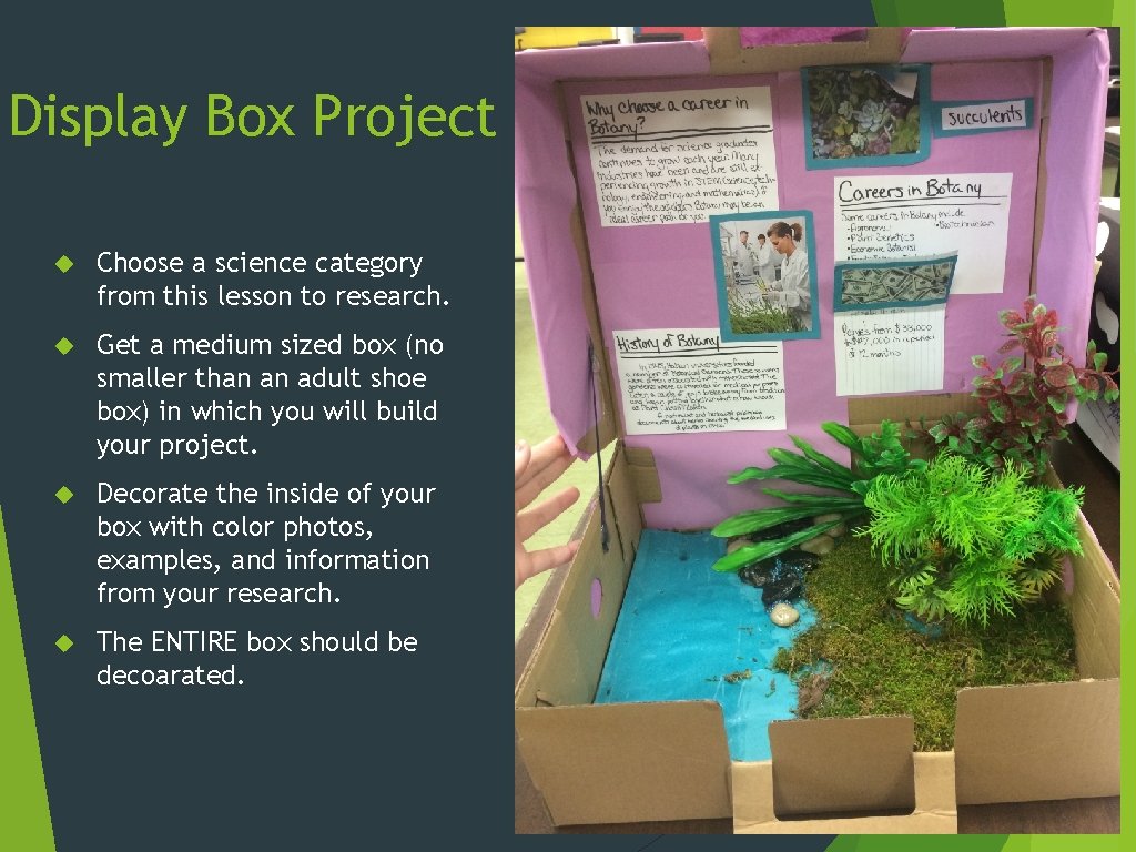 Display Box Project Choose a science category from this lesson to research. Get a