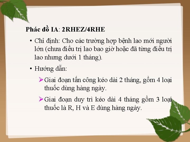  Phác đồ IA: 2 RHEZ/4 RHE • Chỉ định: Cho các trường hợp