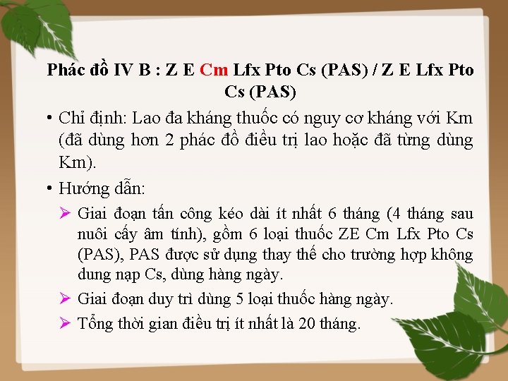 Phác đồ IV B : Z E Cm Lfx Pto Cs (PAS) / Z