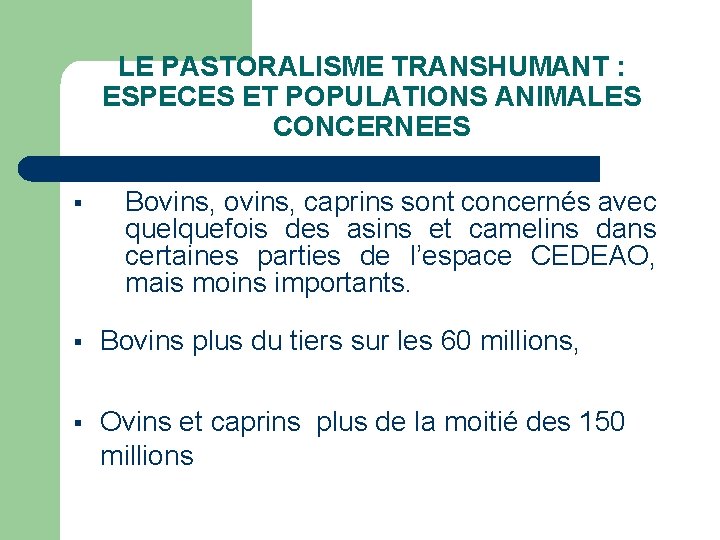 LE PASTORALISME TRANSHUMANT : ESPECES ET POPULATIONS ANIMALES CONCERNEES § Bovins, caprins sont concernés
