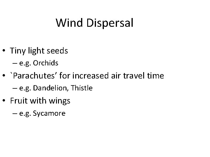 Wind Dispersal • Tiny light seeds – e. g. Orchids • `Parachutes’ for increased