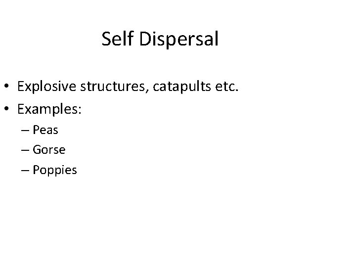 Self Dispersal • Explosive structures, catapults etc. • Examples: – Peas – Gorse –