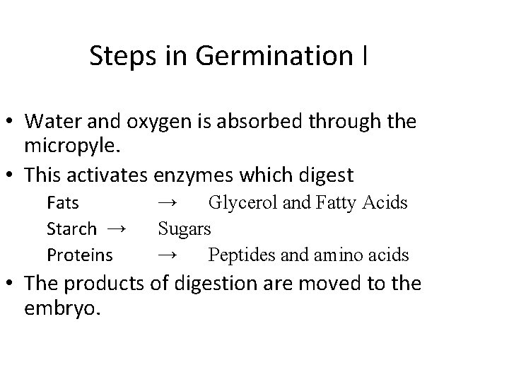 Steps in Germination I • Water and oxygen is absorbed through the micropyle. •