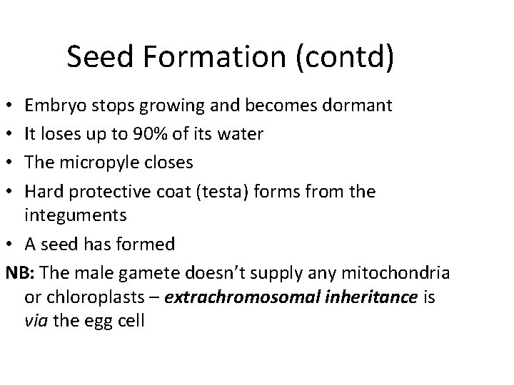 Seed Formation (contd) Embryo stops growing and becomes dormant It loses up to 90%
