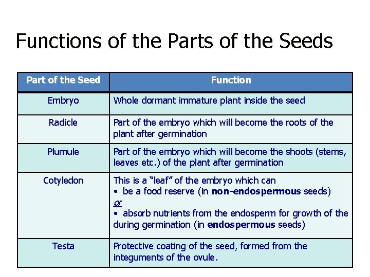 Functions of the Parts of the Seeds Part of the Seed Function Embryo Whole