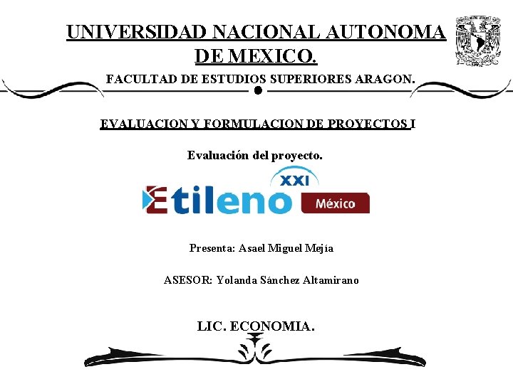 UNIVERSIDAD NACIONAL AUTONOMA DE MEXICO. FACULTAD DE ESTUDIOS SUPERIORES ARAGON. EVALUACION Y FORMULACION DE