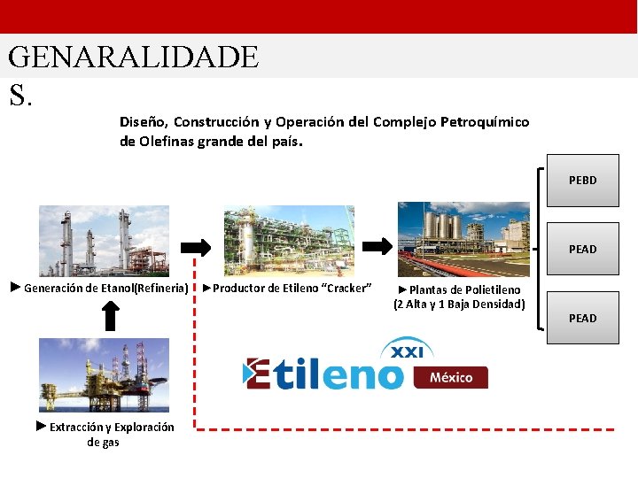 GENARALIDADE S. Diseño, Construcción y Operación del Complejo Petroquímico de Olefinas grande del país.
