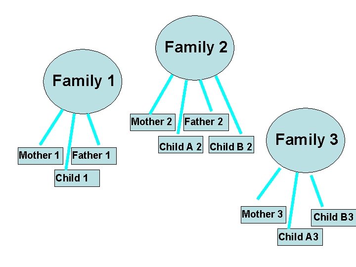 Family 2 Family 1 Mother 2 Mother 1 Father 2 Child A 2 Child