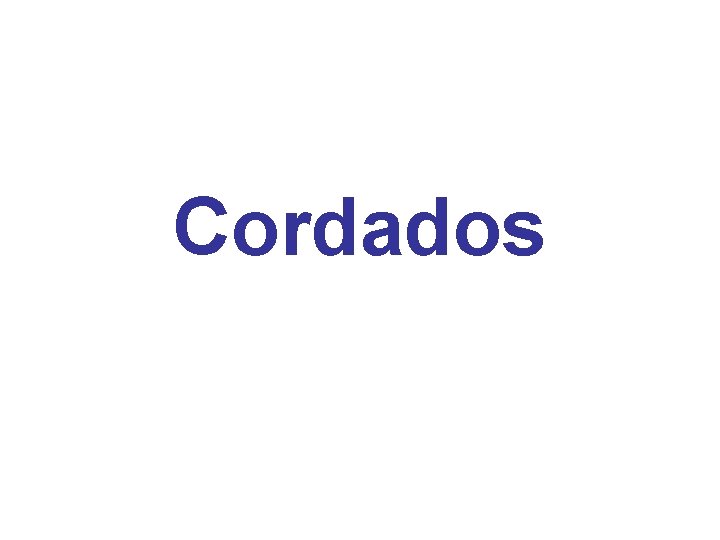 Cordados 